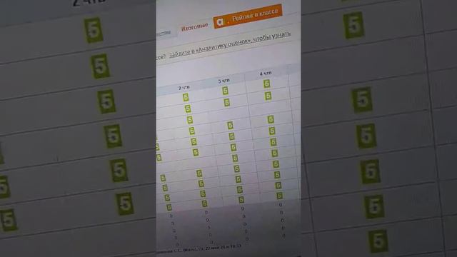 Мои оценки 3 класс