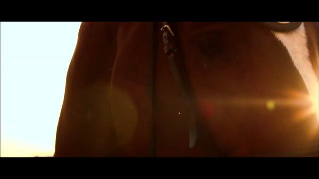 Чемпионат Европы 2021 года