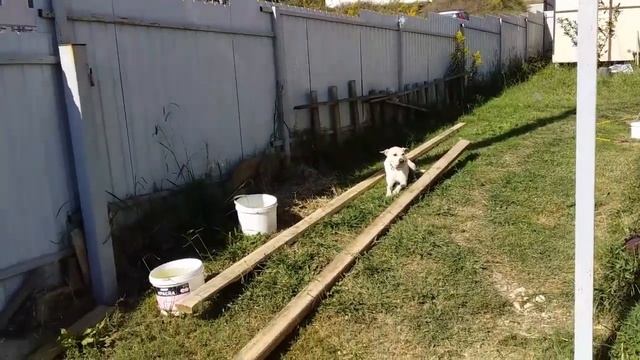 (2) ДЕЛАЕМ НАВЕС НА ЗАДНЮЮ ТЕРРАСУ. +22С. 13.10.2019г. ©