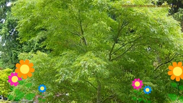 818082f65ad7ce06c782e19b58ba21b7