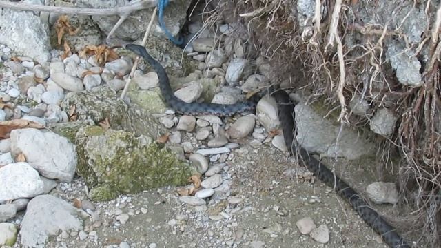 ИССЛЕДУЕМ ПОБЕРЕЖЬЕ ДНЕПРА! Херсонская область. Кладоискатели - Украина!