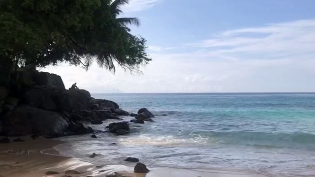 Сейшелы. Seychelles. 塞舌尔。 122