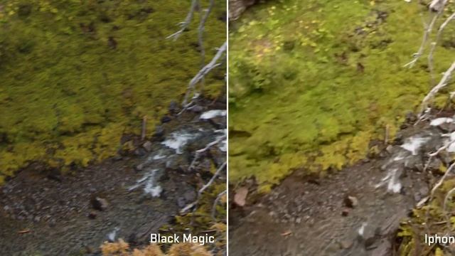 11f58eac0de9ed11b4d1846ae971cf52