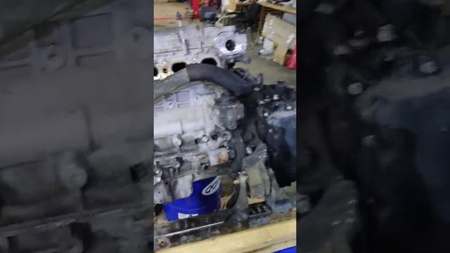 Автолюбители мужчин