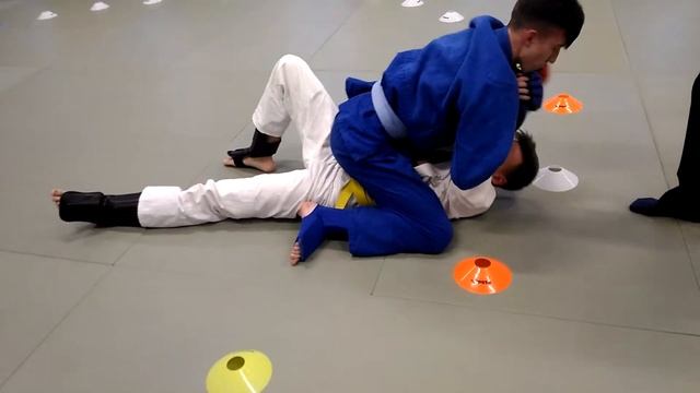 D13a9a397aef7c042d84c0e3f07d52b5