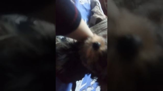 Она умирала от голода на улице