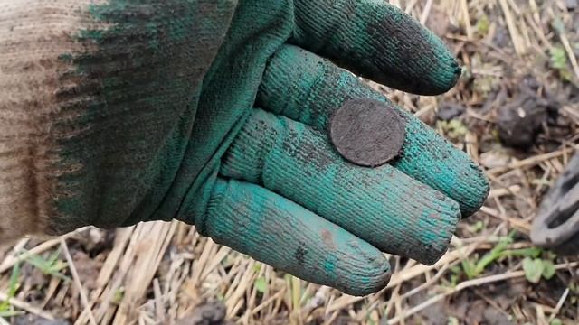 Что удалось найти??Коп на старом хуторе с двумя Simplex Plus и Nokta&Makro Legend (Легендой)