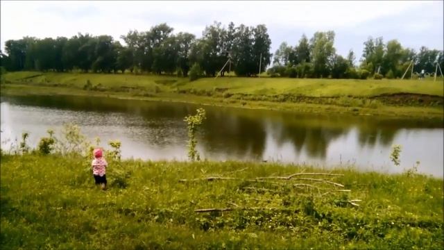 У пруда  Коровы идут домой