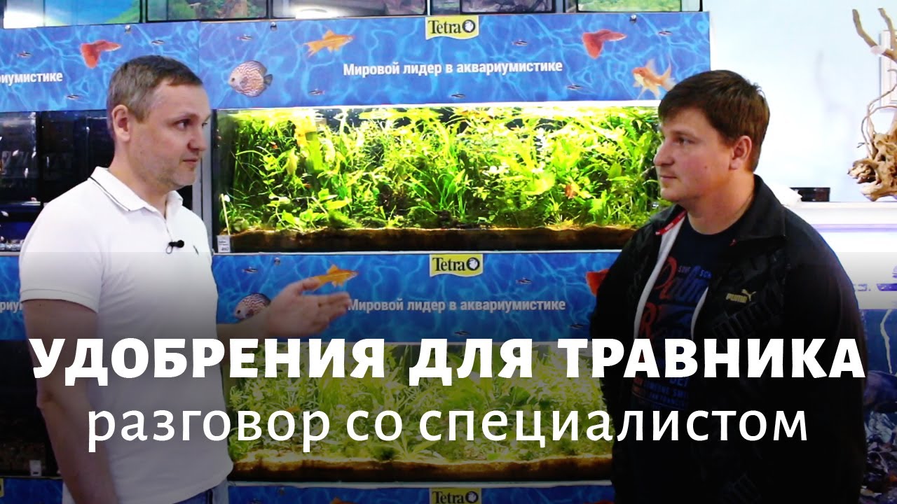 Fdfe33437111a2235521fd34acf69e94