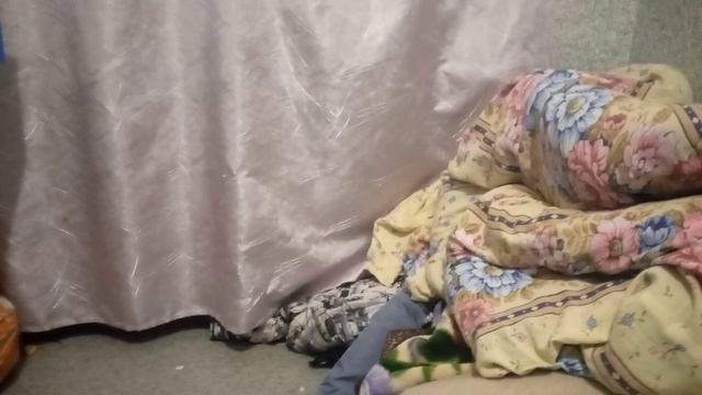 VID_20230117_052910.mp4