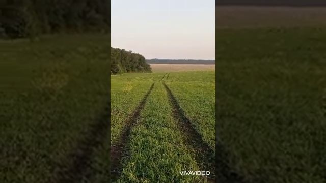 9830ba8aaa7977718618f164fc72cdbe