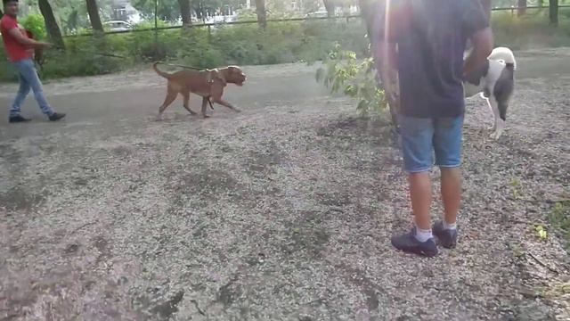 5f28a9608abbc3573be859882e567b57