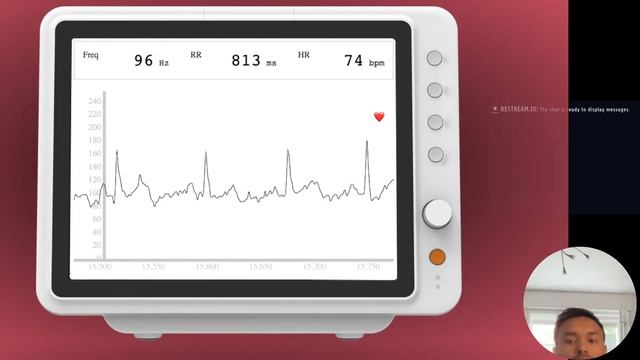 How I Created An ECG Monitor For $10