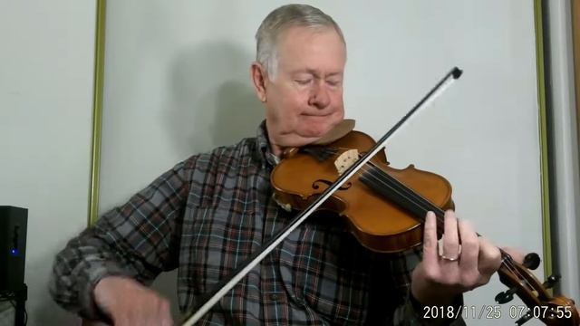 Gliga Maestro 1 Violin Helicore Strings ,Little Maggie