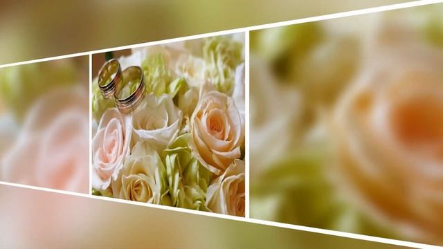 92923847fcc6ab776b0d0748d9adea0f