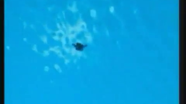 4185c15040b8c2563b1eb6fd345a3aef