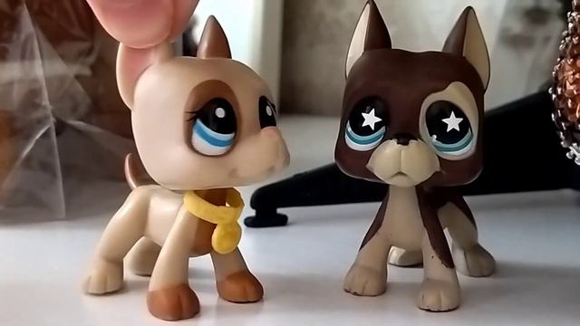 ( Клип ) биба и боба