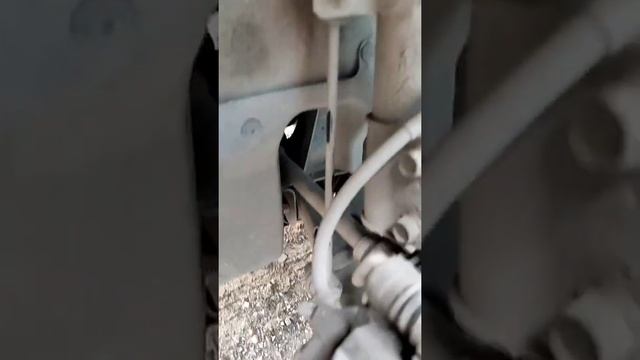 Автополигон