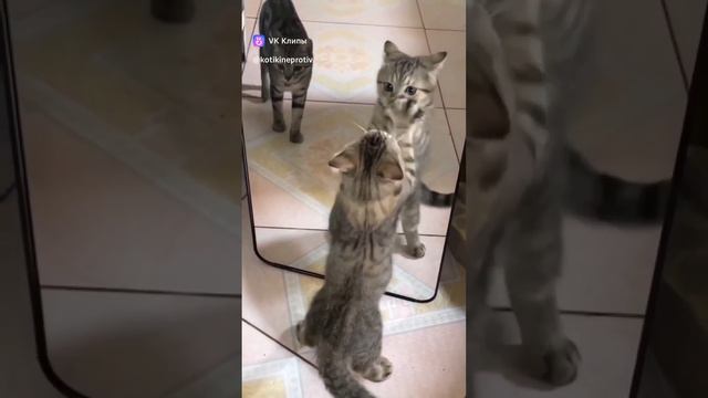 74bd5213c23542508d299750ff3b395f