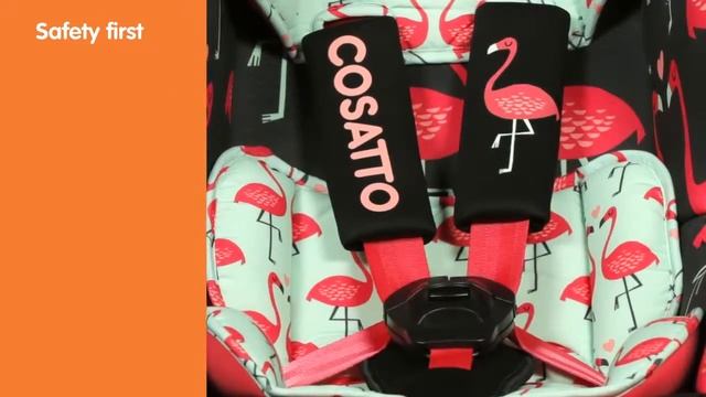 Автокресло Cosatto Hootle Flamingo Fling