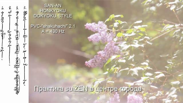 Практика SuiZEN в центре шумного города - SuiZEN Practice In The Middle Of The Bustling City