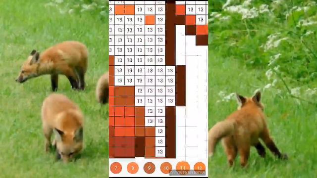 Друзья-рыбы