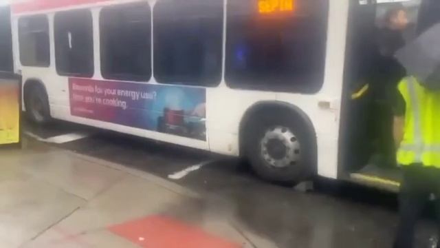 Многонационалочка по-американски