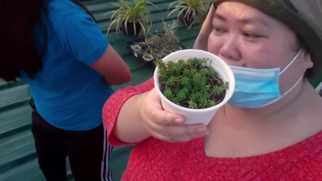 @ThessDelaCruz Roof Garden🥰 Biglaang Garden Tour+bonggang Chikahan..budol Is Real Nga Ba?🤣vlog#02