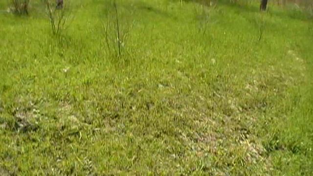 ПРОДОЛЖЕНИЕ ПОИСКА МОНЕТ НА ПЛЯЖЕ