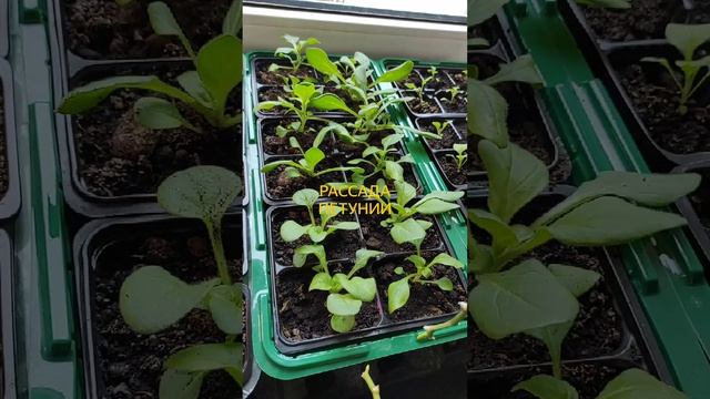 6f607a4c66981823f2ce2f37b3a78adc