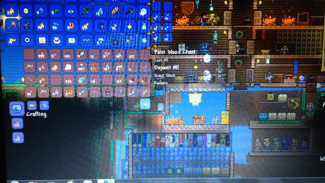 Terraria PC The Ankh Shield