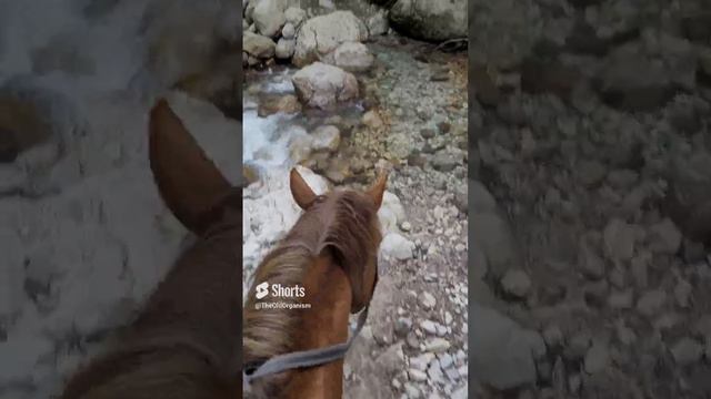 по горной местности на лошадях
