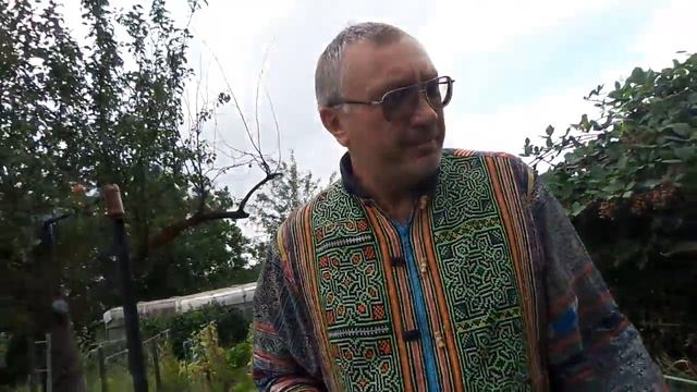 I Утки ежевика Blackberry Ducks 20170823