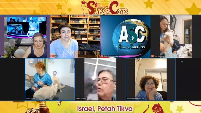 Победители выставки кошек 2 сентября 2023 года в Петах Тикве!