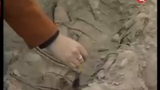 385202aff0f6213dbe5a542c8694c11a