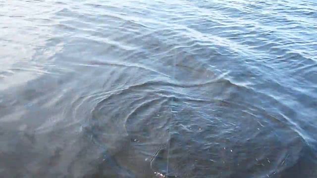 Северная Карелия 2011