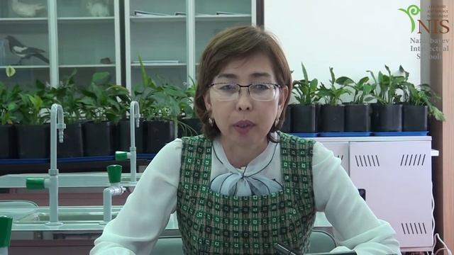 Гүлбибі Жаппарқұл онлайн семинар