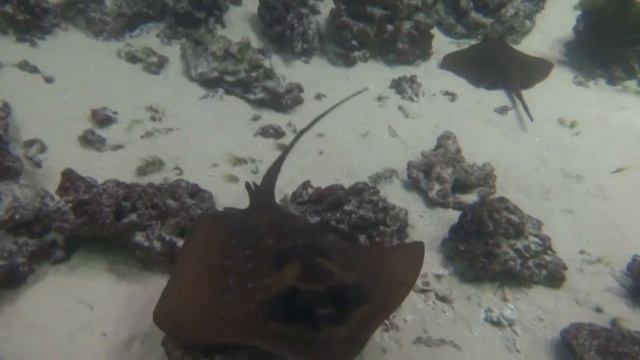 тест фотоаппарата