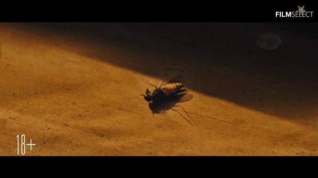 9e0e3eb7cdf1ee5d5fdf72481c2be1b7