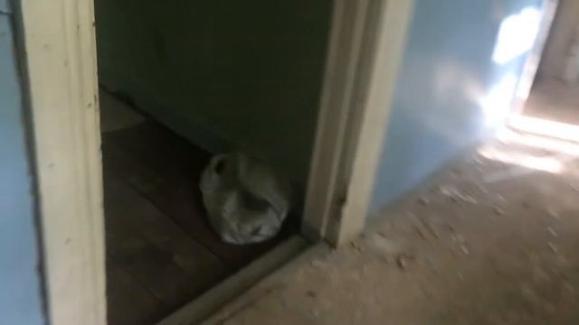 •ЗМ 8• ЧАСТЬ 2-Я \\Я ДУМАЛ ЭТО КОНЕЦ.