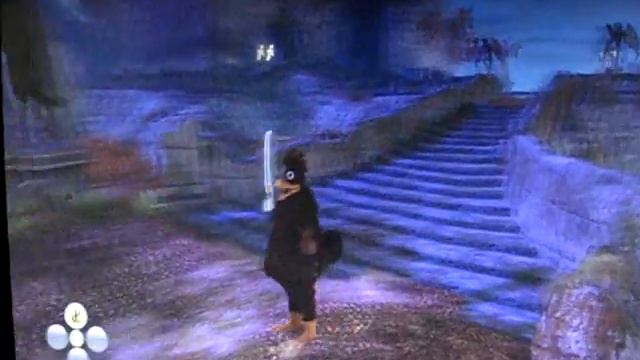 Fable 2 Glitch: No Walking/Running Animations