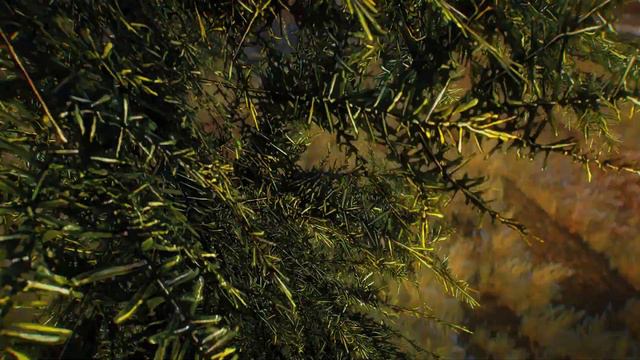 Skyrim ENBSeries Grass Collision