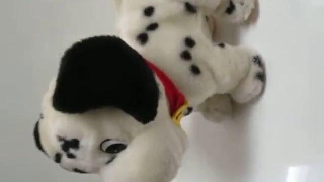 Šuniukas Dalmantinas