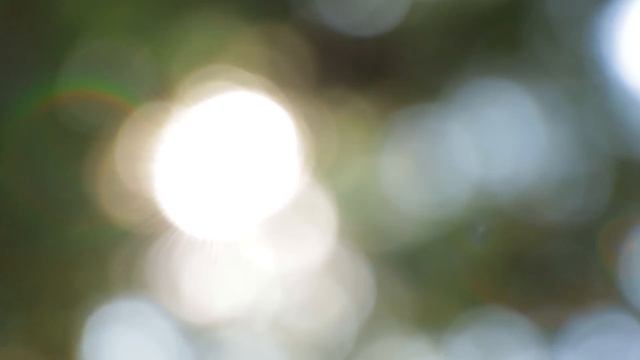 ?Ты Привлечешь Своего Будущего Мужа, Если Будешь Делать Это 21 день