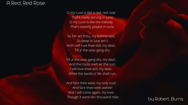 A Red Red Rose BY ROBERT BURN