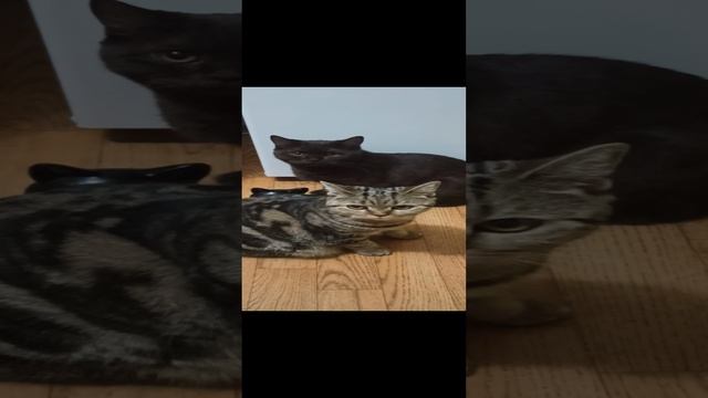 B9ae86c1274158dcdb3689740c5e20f1