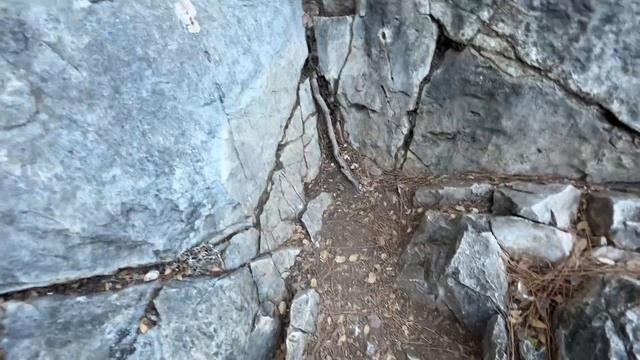 Красота и Уход