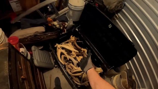 Эпический финал! Прибыль зашкаливает! Золото вёдрами!!! Vinil на 1000 $$$!!!