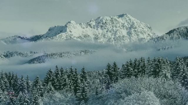 D9ca1448dd7092ebed839d98570b201f