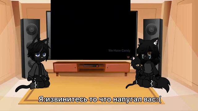 Реакция семьи Грача на MAP коты воители